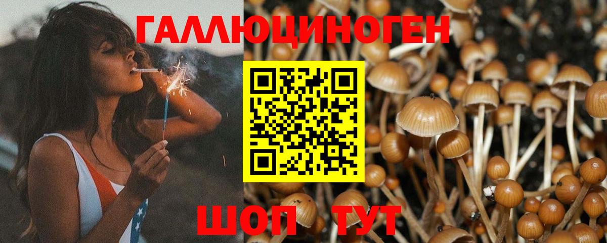 Галлюциногенные грибы ЛСД  Вход с VPN  закладка  Сургут 