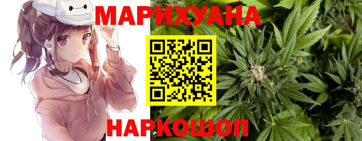 Канабис сатива Сургут